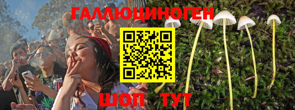 Галлюциногенные грибы Magic Shrooms Миасс