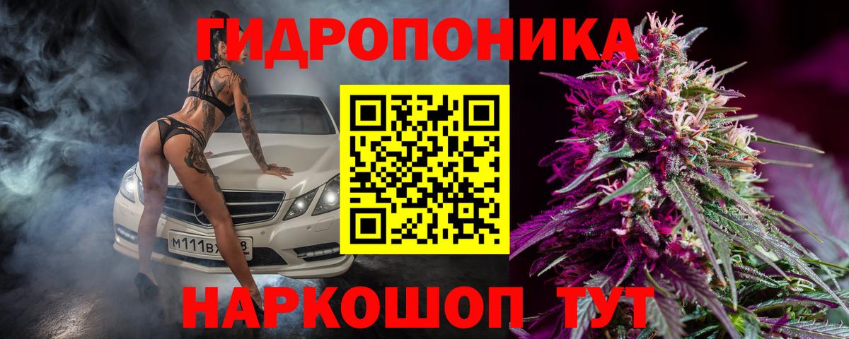 Шишки марихуана марихуана  Шишки марихуана сатива  Вход с VPN  Миасс  Бошки Шишки семена 